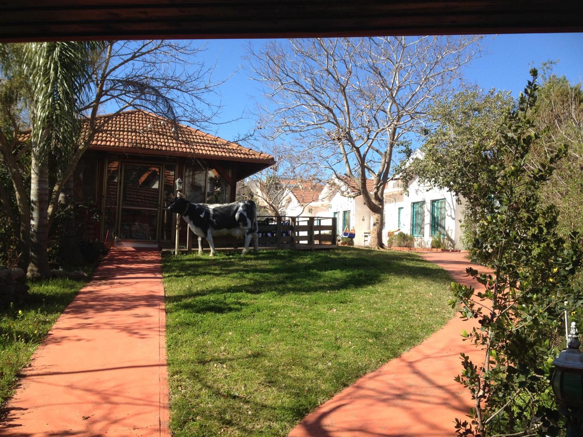 אחוזה במטולה Hotel Bagian luar foto
