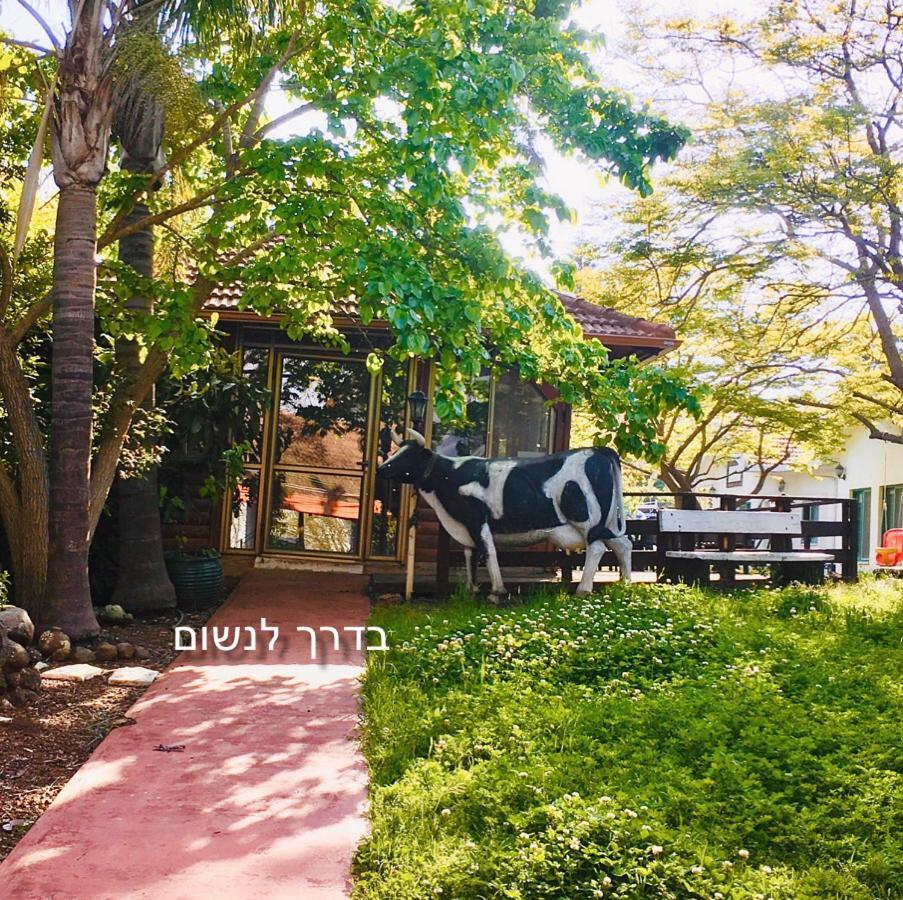 אחוזה במטולה Hotel Bagian luar foto
